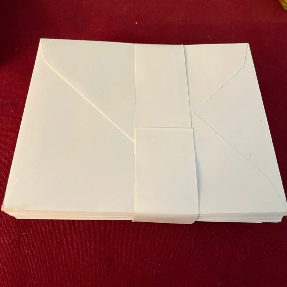 NEW teNeues - 20 QuickNotes Polka Dog Notecards with Box Blank Inside-Envelopes